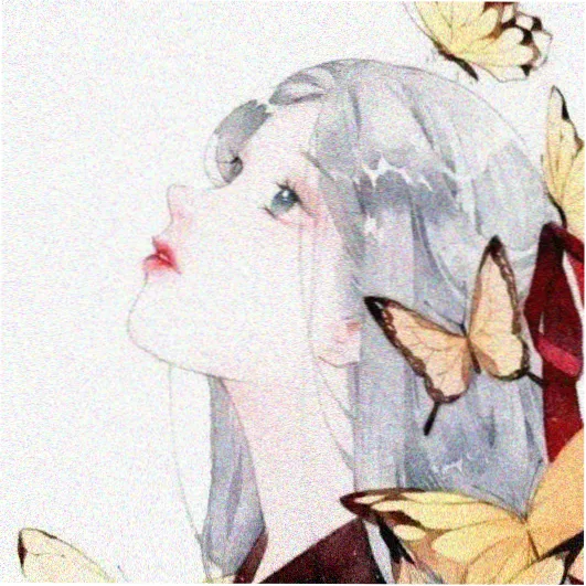 海贼王免费观看完整版 罗宾